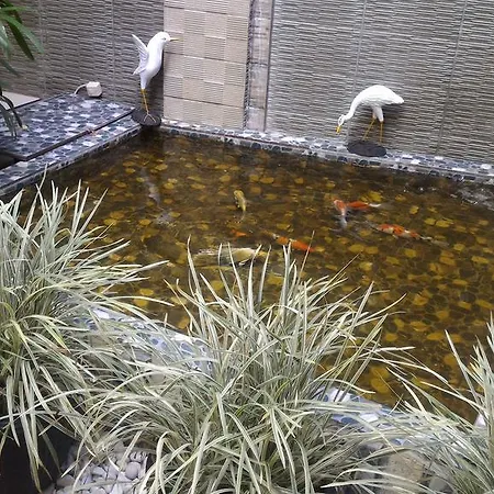 Pondok Arta Guest House